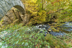 Harz-Bode-Z7-038328