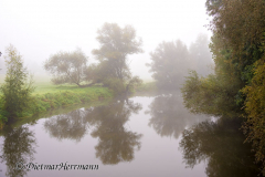 Herbstnebel-Leine-Z8-024773