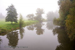 Herbstnebel-Leine-Z8-024775