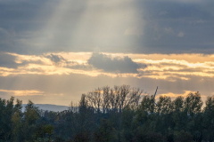 Sonnenuntergang-Leinemasch-Z9-316214