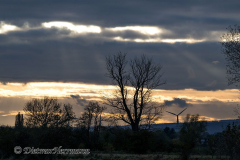 Sonnenuntergang-Leinemasch-Z9-316245