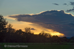 Sonnenuntergang-Leinemasch-_DSC7482_DxO