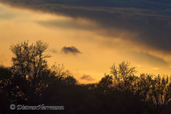 Sonnenuntergang-Leinemasch-_DSC7492_DxO