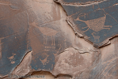 D800E-040062