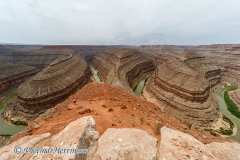 Goosenecks-D800E-040184