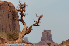 Monument-Valley-D800E-039333