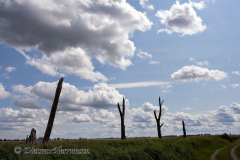 MV-Polder-Klotzow-Z7II-140187