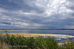 MV-Regenwolken-Polder-JohanneshofZ7II-140296