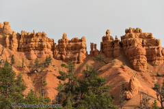 Red-Canyon-D800E-035052