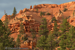 Red-Canyon-D800E-035096