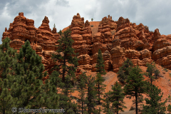 Red-Canyon-D800E-036990