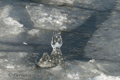 01360P1060242
