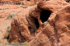Valley-of-Fire-D800E-034239