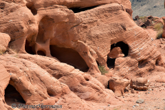 Valley-of-Fire-D800E-034241