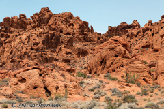 Valley-of-Fire-D800E-034242
