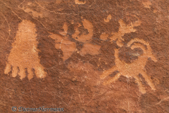 Valley-of-Fire-Petroglyphs-D800E-034277