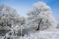 030-Schnee-und-Rauhreif-an-der-Leine-Z7-049310
