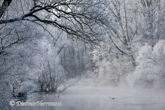 040-Schnee-und-Rauhreif-an-der-Leine-Z7-049337