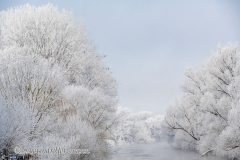 060-Schnee-und-Rauhreif-an-der-Leine-Z7-049413