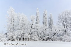 090-Schnee-und-Rauhreif-Badeteich-Z7-049550
