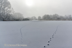 110-Schnee-und-Rauhreif-Badeteich-Z7-049549