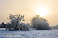 142-Schnee-und-Rauhreif-an-der-Leine-Z7-049270