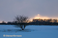 144-Sonnenuntergang-Busch-_DSC9221